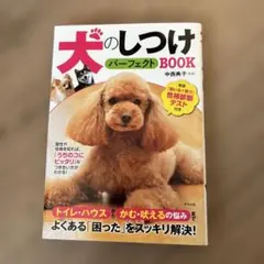 Item thumbnail for item 5928f23f-8fc0-42bc-b432-1725871a3c1f