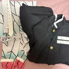 胡蝶しのぶ コスプレ Mサイズ