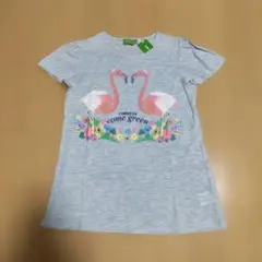 新品COMME CA come green フラミンゴプリントTシャツ150cmのサムネイル
