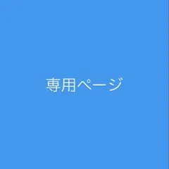 専用ページ
