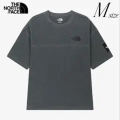 韓国限定】入手困難！ノースフェイス ロゴ ステッチ Tシャツ グレー 