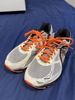 Item thumbnail for item 8133f0e7-6b9e-4230-b47c-3f05d2ddc6de