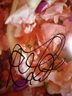 セール中…多田愛佳直筆サイン入り色紙と公式写真の2点セット…らぶたん… セール中…多田愛佳直筆サイン入り色紙と公式写真の2点セット