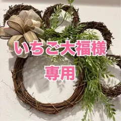 いちご大福　様専用