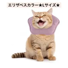 エリザベスカラー 猫犬 グリーンLサイズ 新品