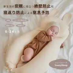 Item thumbnail for item f250e7e8-e27b-4952-887a-6693c68a9d5c