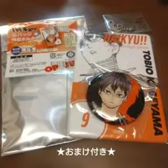 ハイキュー 缶バッジ＆特製ホルダーコレクション BD3 影山飛雄