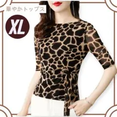 XL ダンス用トップス アニマル柄　社交ダンス ラテン レッスンウェア 練習着