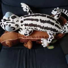 ニホンカナヘビ