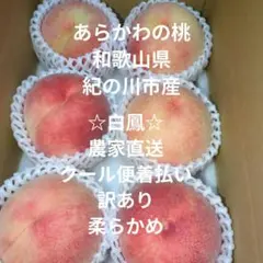 3あらかわの桃紀の川市産農家直送クール便着払い訳あり午後10時終了限定特価！のサムネイル