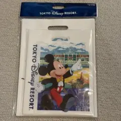 新品　ディズニー　リゾート　ギフト袋　ディズニーランド　シー　２０枚セットのサムネイル