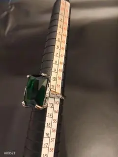 Item thumbnail for item ff284fe7-bf8e-48a0-8c2d-9a5db771d971