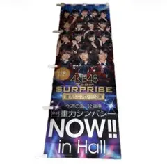 新品】女子総合格闘技 JEWELS 旗揚げ大会 公式ポスター / 杉山しずか