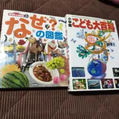 Item thumbnail for item 930aa250-db1f-4b13-bf05-e04bc3b3c595