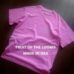 ★USA製★ FRUIT OF THE LOOM ヴィンテージ Ｔシャツ Ｌ