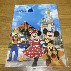 非売品 東京ディズニーリゾート クリアファイル A4 SHINRYO