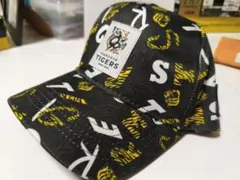 Item thumbnail for item a1af6a59-5414-4649-97da-cc7f32cee847