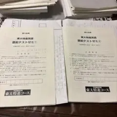 東大特進英語　直前テストゼミ