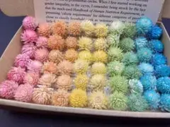 カオカオ1117様 リクエスト 2点 まとめ商品