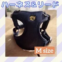 Item thumbnail for item 776ff432-e051-441d-8992-f048c13cbd7d