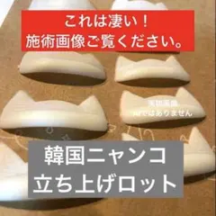 韓国ニャンコ立ち上げカールロッド新品未使用品　日本未発売品