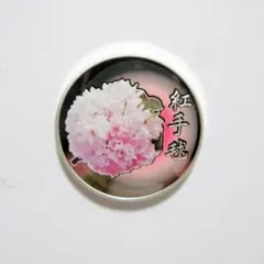 桜の通り抜けシリーズ 2019年 プルーフ貨幣セット出し 銀メダル 紅手毬 桜の通り抜けシリーズ 2019年 プルーフ貨幣セット出し 銀メダル 紅手毬
