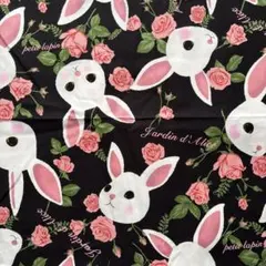 Item thumbnail for item debe3b4b-b3ca-471a-8a04-e79409c772e6