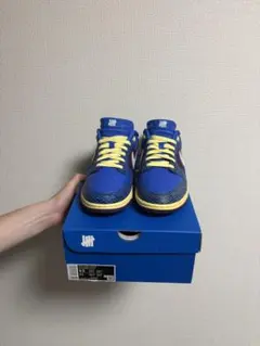 UNDEFEATED × Nike Dunk Low SP 