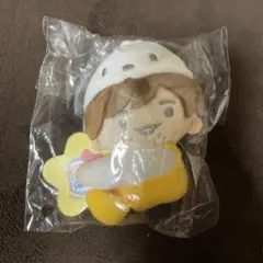 なにわ男子 長尾謙社 サンリオ ぬい