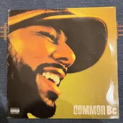 2026年最新】COMMON BE 2LPの人気アイテム - メルカリ