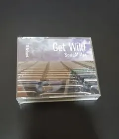 Get Wild SongMafia TM Network CDアルバム