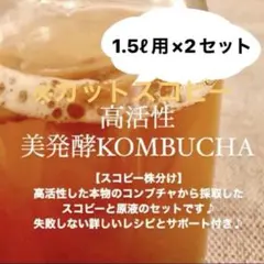 ※ カットスコビー　コンブチャ3L作成用　紅茶きのこ　腸活　腸内環境のサムネイル