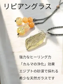 リピアングラス　希少　癒し　202624