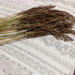 お飾り、しめ縄 装飾品