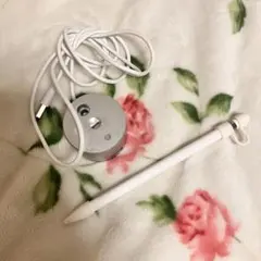 【ジャンク品】Apple Pencil (第1世代) ホワイト 充電ケーブル付き