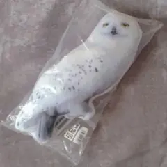 ヘドウィグ　クッション
