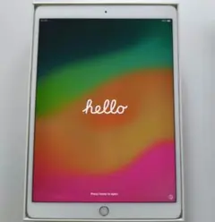 Apple iPad Pro（10.5インチ） シルバー 本体 充電器付き