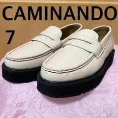 Item thumbnail for item 19eb1ea7-d72b-44cb-9091-c2a4de08790a