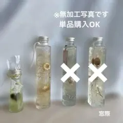하바리움 ♡ 프리저브드 플라워 ♡ 인테리어 보틀