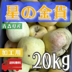 あいこ(^o^)様 山梨県産 20kg 新鮮 中熟～完熟 白加賀梅 - メルカリ