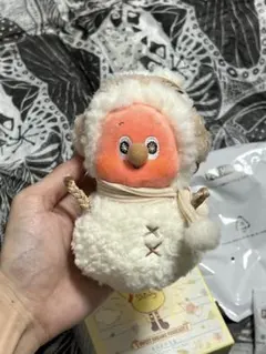 Twinkle Twinkle Sweet Dreams Forecact