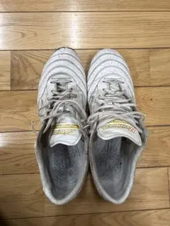 り*ん様 モレリア2Japan 限定モデル