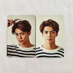 2026年最新】exo 2015 シーグリの人気アイテム - メルカリ