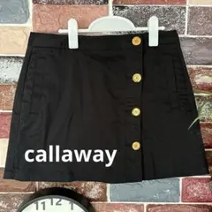 Item thumbnail for item 7d2bccfe-c026-41a5-a6f9-d4c0d2121f9f