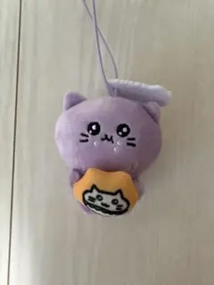 チェゴシム