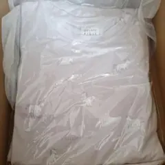 Item thumbnail for item a5124d8c-26b4-4258-b625-dbbda842aba3