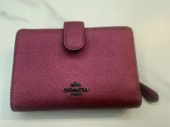 Item thumbnail for item cfe20ced-7c54-4eee-9657-317ee786d5d3