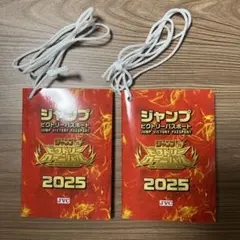 2025年最新】ジャンプ ビクトリーパスポートの人気アイテム