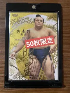 Item thumbnail for item 4cb2074f-e665-438a-a514-617cf51cf02f