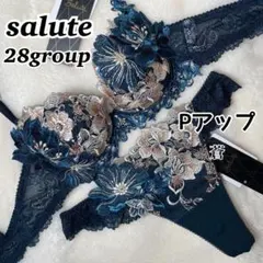 サルート　F80＆L L ブラショーツ　セットアップ　ワコール サルート F80＆L L ブラショーツ セットアップ ワコール サルート